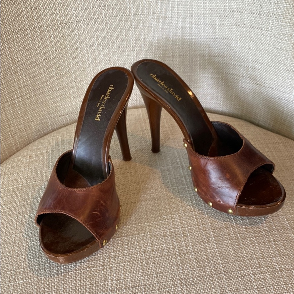Charles David Brown Leather Stiletto Heels